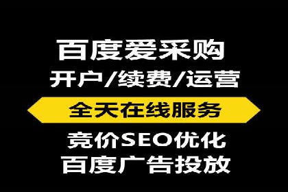 竞价托管与SEO结合的案例分析